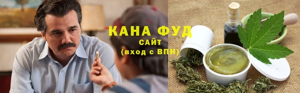 гашик Няндома