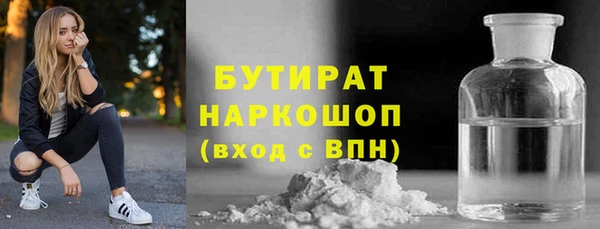 гашик Няндома