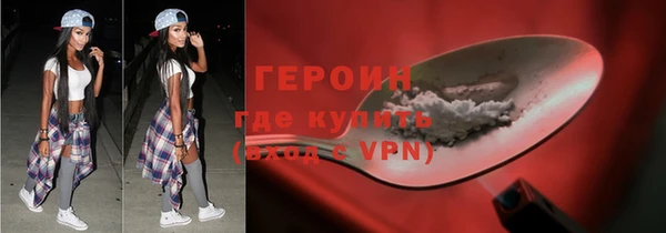 гашик Няндома