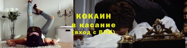 гашик Няндома