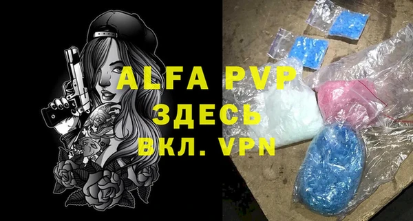 гашик Няндома