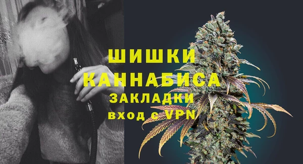 хмурый Нягань