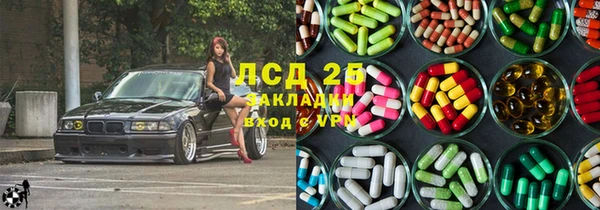 PSILOCYBIN Осташков