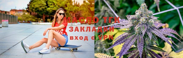 гашик Няндома