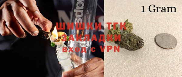 гашик Няндома