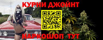 гидра Жуковский