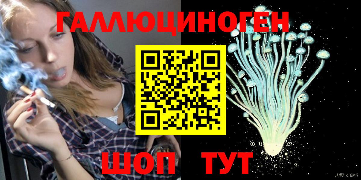 закладки  Псилоцибиновые грибы GOLDEN TEACHER  Вход с VPN  Курчалой  Галлюциногенные грибы Cubensis 