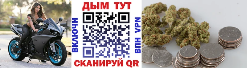Бошки марихуана Ganja Курчалой