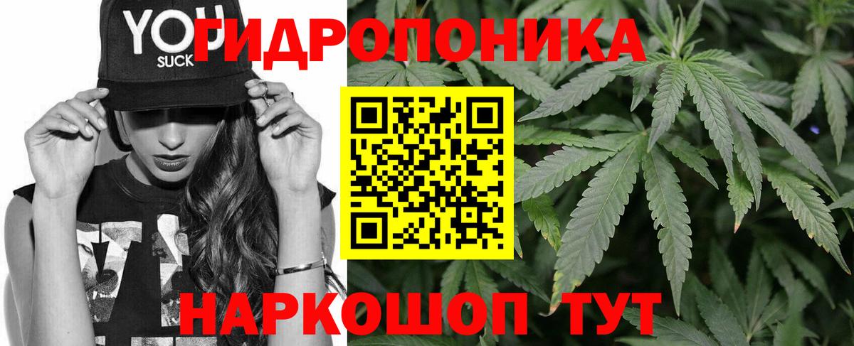 Амфетамин Курчалой